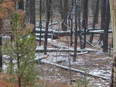 Planning Ahead Image